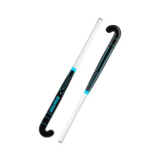 AMS Sports Carbon 20 Field Hockey Stick – Entry-Level Excellence